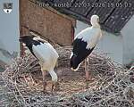 Capi_Dubne_20260722_190503.jpg