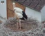 Capi_Dubne_20260722_193003.jpg