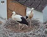 Capi_Dubne_20260722_193503.jpg