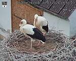Capi_Dubne_20260722_194003.jpg