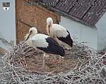 Capi_Dubne_20260722_194503.jpg