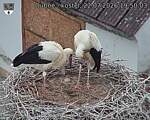 Capi_Dubne_20260722_195003.jpg