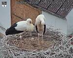 Capi_Dubne_20260722_195503.jpg