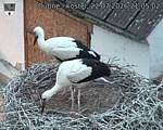 Capi_Dubne_20260722_210503.jpg