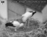 Capi_Dubne_20260722_211003.jpg
