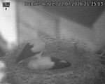 Capi_Dubne_20260722_213503.jpg