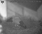 Capi_Dubne_20260722_214502.jpg