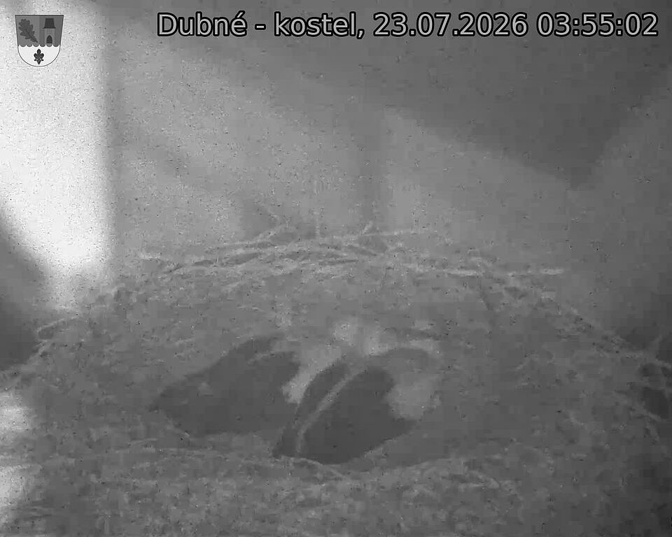 preload
