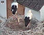 Capi_Dubne_20260723_052003.jpg