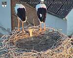 Capi_Dubne_20260723_061003.jpg