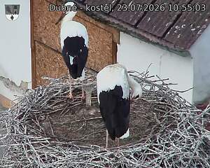 preload