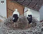 Capi_Dubne_20260723_122502.jpg