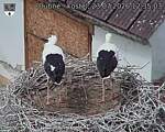 Capi_Dubne_20260723_123503.jpg