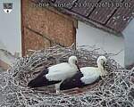 Capi_Dubne_20260723_130002.jpg