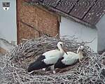 Capi_Dubne_20260723_130503.jpg