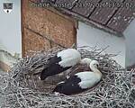 Capi_Dubne_20260723_135002.jpg