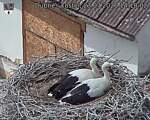 Capi_Dubne_20260723_141002.jpg