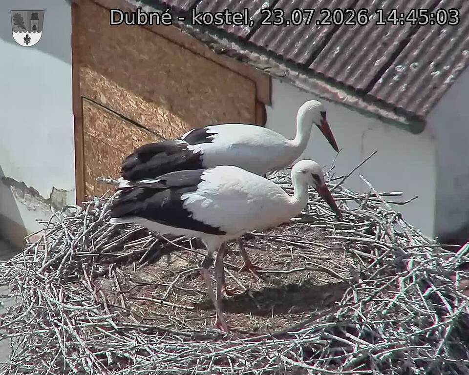 preload