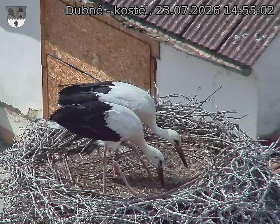 preload