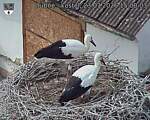 Capi_Dubne_20260723_150003.jpg
