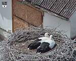 Capi_Dubne_20260723_152003.jpg