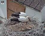 Capi_Dubne_20260723_154502.jpg