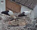 Capi_Dubne_20260723_155002.jpg