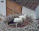 Capi_Dubne_20260723_160002.jpg