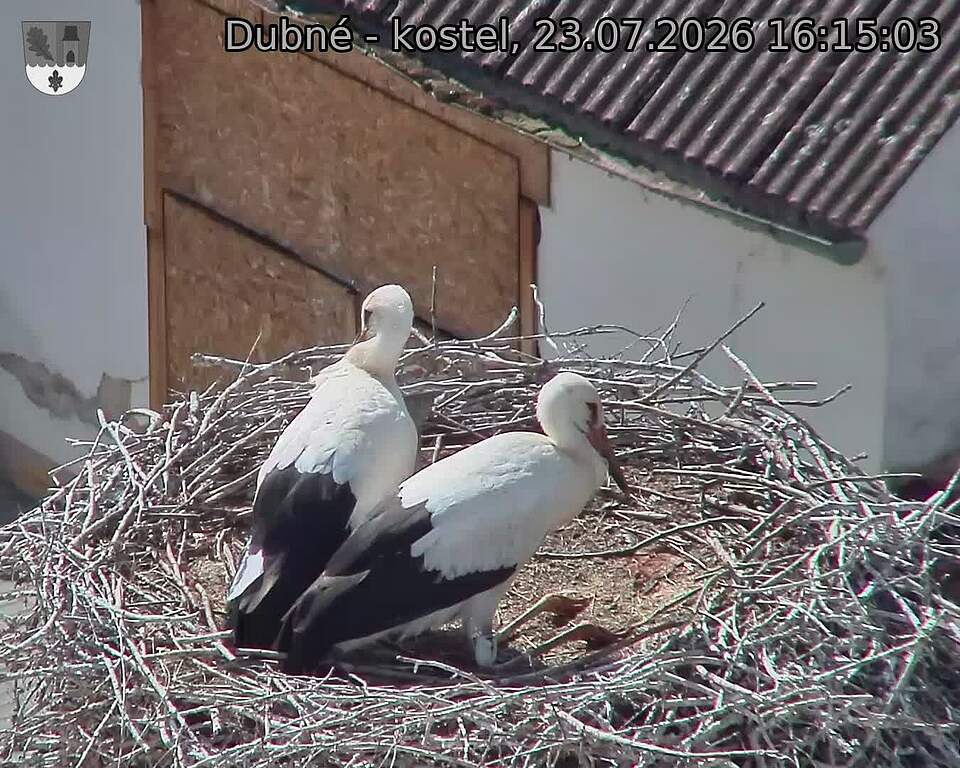 preload