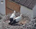 Capi_Dubne_20260723_161503.jpg