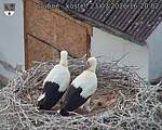 Capi_Dubne_20260723_162002.jpg