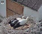 Capi_Dubne_20260723_163002.jpg