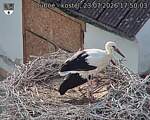 Capi_Dubne_20260723_175003.jpg
