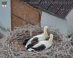 Capi_Dubne_20260723_182003.jpg
