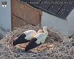 Capi_Dubne_20260723_184502.jpg