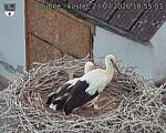 Capi_Dubne_20260723_185503.jpg