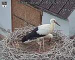 Capi_Dubne_20260723_191004.jpg