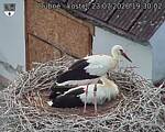 Capi_Dubne_20260723_193002.jpg