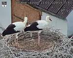 Capi_Dubne_20260723_193503.jpg