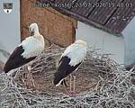 Capi_Dubne_20260723_194003.jpg