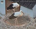 Capi_Dubne_20260723_200503.jpg