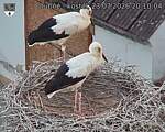 Capi_Dubne_20260723_201004.jpg