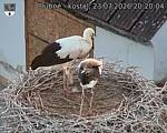 Capi_Dubne_20260723_202004.jpg