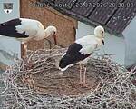 Capi_Dubne_20260723_203003.jpg