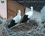Capi_Dubne_20260723_211503.jpg