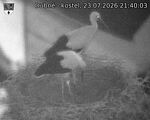 Capi_Dubne_20260723_214003.jpg