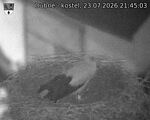 Capi_Dubne_20260723_214503.jpg