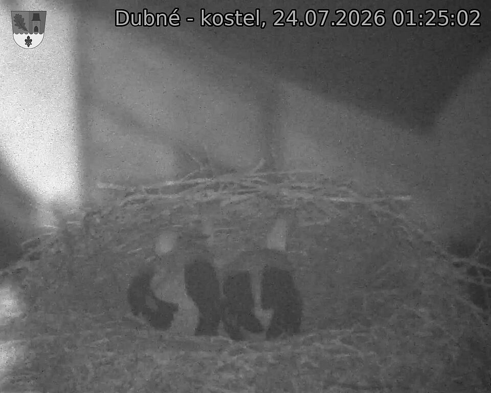 Capi_Dubne_20260724_012502.jpg (1350&nbsp;x&nbsp;1080)