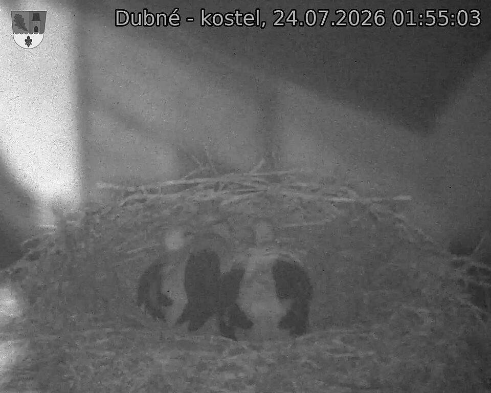 preload