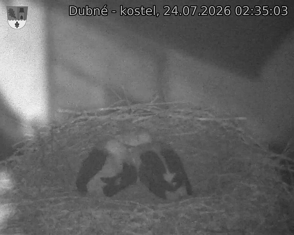 preload